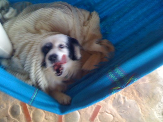 aqui estoy con mucho frio